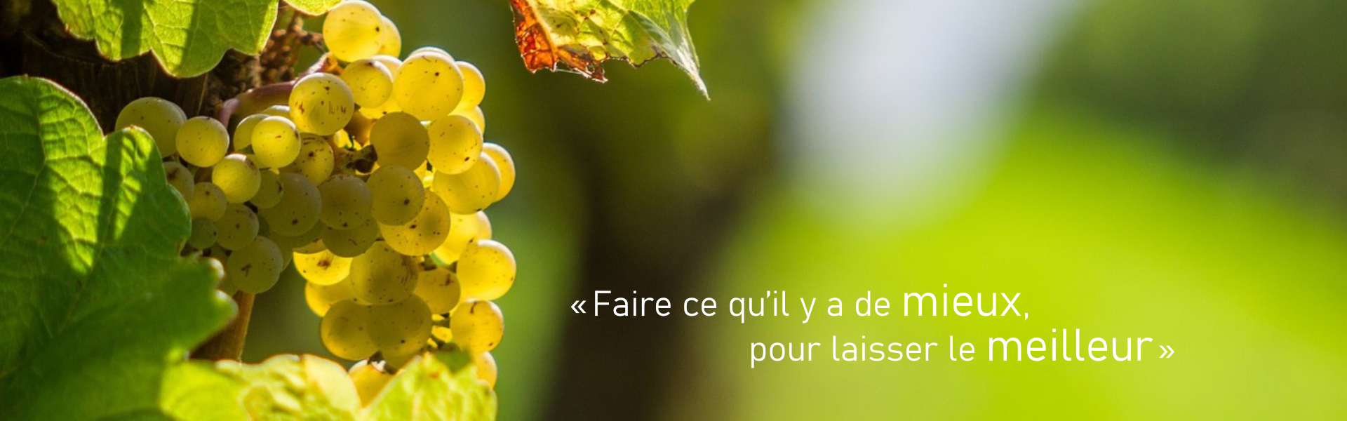 Site 61f159946cedd.jpg